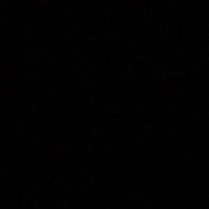 Meet your Posher, Sidney